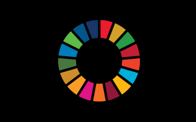 SDG alignment image