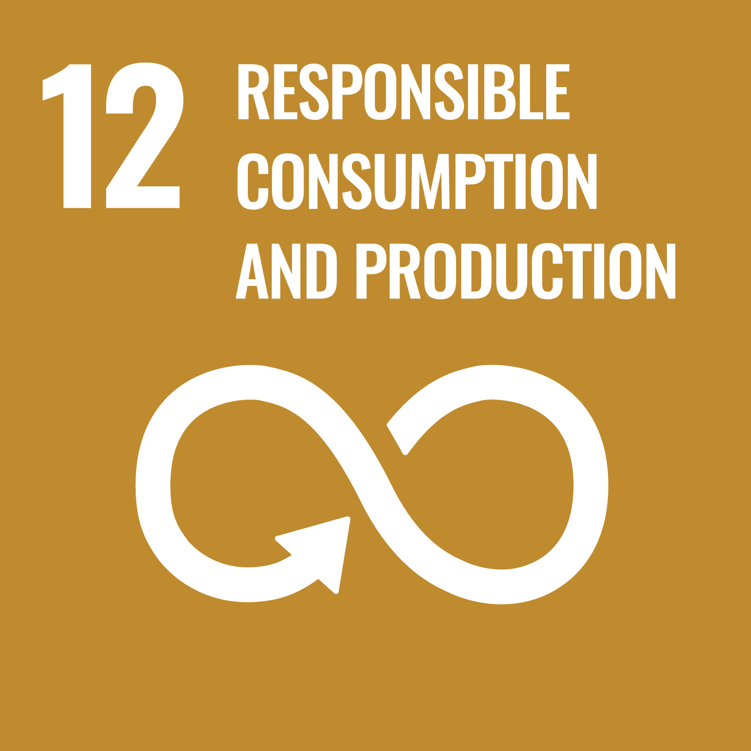 Sustainable Development Goals (SDG12) Responsible Consumption & Production
