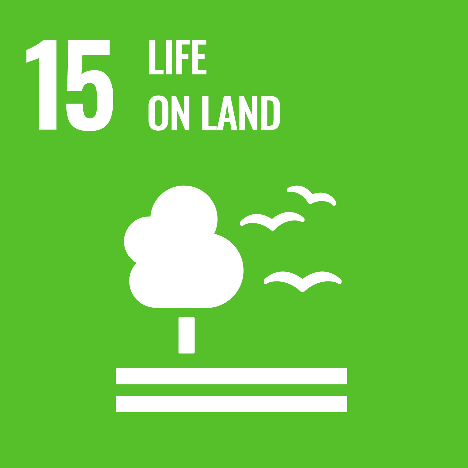 Sustainable Development Goals (SDG15) Life on Land